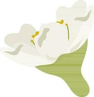 Flat style flower in green and white color. vector