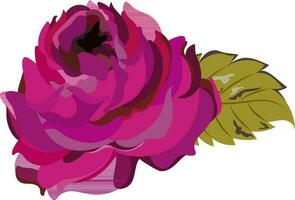 Beautiful rose decorated with leaf. vector