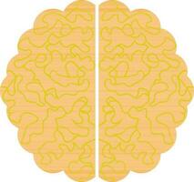 Isolated brain in orange and green color. vector