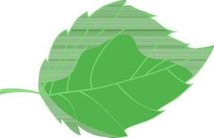 vector ilustración de verde hojas.