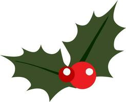 Red holly with green leaves. vector