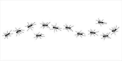 hormigas obreras rastro línea estilo plano diseño vector ilustración aislado sobre fondo blanco.
