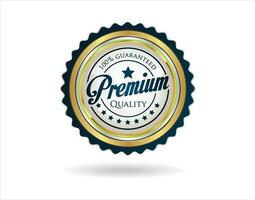 Silver and blue high quality badge vector illustration