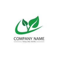 Tree leaf vector and green logo design friendly concept