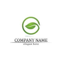 Tree leaf vector and green logo design friendly concept