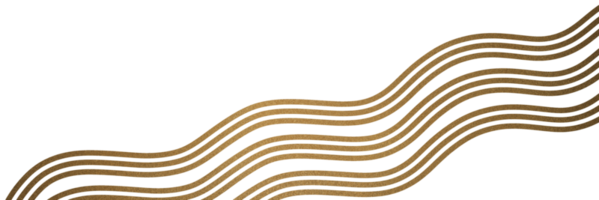 Luxury gold line element png