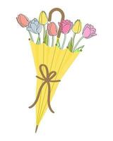 Bouquet of tulips in an umbrella. Spring illustration, postcard, vector