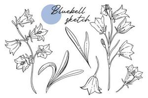 white black contour decorative bell flowers. Bluebell sketch vector
