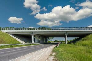 concrete columns like pillars of an automobile bridge photo