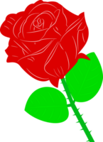 Rose flower with red and green color transparent background png