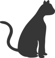 negro gato silueta diseño transparente antecedentes png