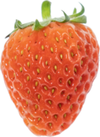 strawberry cut out on transparent background. png