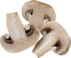 cremini mushroom cut out on transparent background. png