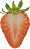 fragola tagliare su su trasparente sfondo. png