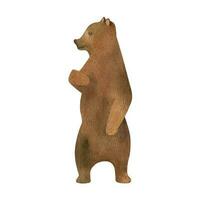 Hand drawn watercolor standing brown bear. Realistic forest animal vector
