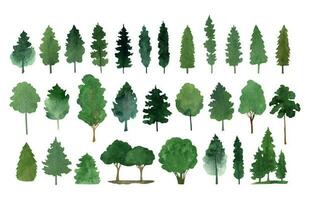 Hand drawn watercolor fir tree forest clipart collection vector