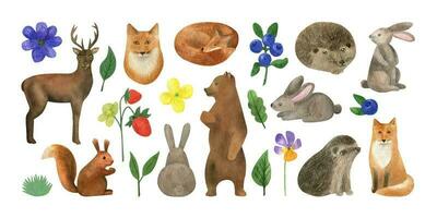 Hand drawn watercolor animals hedgehog hare, squirrel, fox, bear with summer florals and berries vector