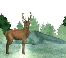 mano dibujado acuarela en pie marrón ciervo en bosque. realista animal en verde sin costura antecedentes. vector