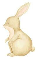 Cute watercolor Bunny. Hand drawn illustration of Rabbit on white isolated background for baby shower greeting cards or invitations. Drawing of woodland little Hare for kid poster in pastel colors vector