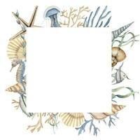 Seashell watercolor square Frame on white isolated background. Hand drawn illustration of backdrop with sea Shells. Underwater border for icon or logo in marine style with cockleshells and starfish. vector