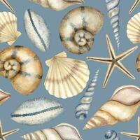 Seashell Pattern on blue background. Hand drawn watercolor seaml vector