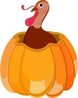 Character of turkey in the pumpkin. vector