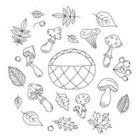 Mushrooms and leaves. Botanical Set. Berries, plants.  Summer, fall icons in doodle style. Black and white Vector illustration on isolated background.