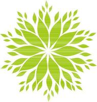 Beautiful floral design with green leaves. vector