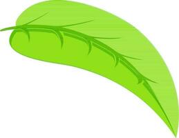 Illustration of green leaf. vector