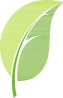 Flat style illustration of green leaf. vector