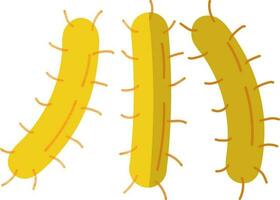 Flat style three yellow bacteria. vector