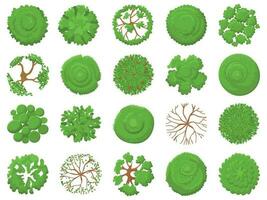 Top view tree. Planting green trees, park map vegetation and tropical forest maps viewing from above vector illustration set