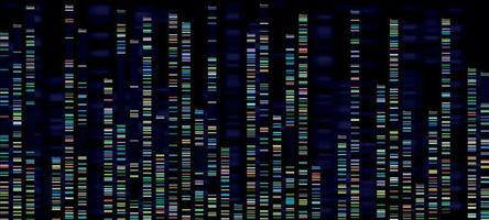 Genomic analysis visualization. Dna genomes sequencing, deoxyribonucleic acid genetic map and genome sequence analyse vector concept
