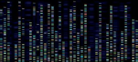 Genomic analysis visualization. Dna genomes sequencing, deoxyribonucleic acid genetic map and genome sequence analyse vector concept