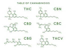Cannabinoid structure. Cannabidiol molecular structures, THC and CBD formula. Marijuana or cannabis molecules vector illustration