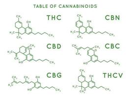 Cannabinoid structure. Cannabidiol molecular structures, THC and CBD formula. Marijuana or cannabis molecules vector illustration