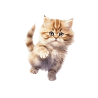 Watercolor painting of Cute Persian Kitten isolated transparent background, Digital art, image file format, , png