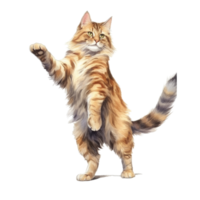 Watercolor painting of Maine Coon Cat isolated transparent background, Digital art, PNG image file format, AI Generative