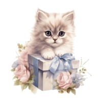 Watercolor painting of Cute Persian Cat isolated transparent background, Digital art, image file format, , png