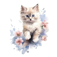 Watercolor painting of Ragdoll Kitten isolated transparent background, Digital art, image file format, png