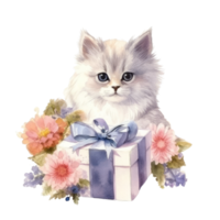 Watercolor painting of Cute Persian Cat isolated transparent background, Digital art, image file format, , png