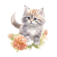 Watercolor painting of Cute Persian Kitten isolated transparent background, Digital art, image file format, , png