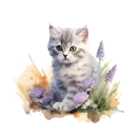 waterverf schilderij van schattig Brits kort haar katje geïsoleerd transparant achtergrond, digitaal kunst, PNG beeld het dossier formaat, ai generatief