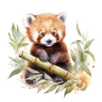 Watercolor painting of cute animal red panda isolated transparent background, Digital art, image file format, png