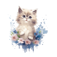 Watercolor painting of Ragdoll Kitten isolated transparent background, Digital art, image file format, png