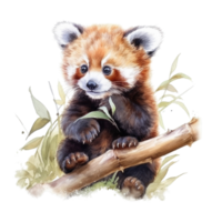 Watercolor painting of cute animal red panda isolated transparent background, Digital art, image file format, png