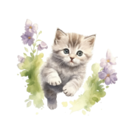 Watercolor painting of cute British Shorthair Kitten isolated transparent background, Digital art, image file format, png