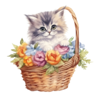 Watercolor painting of Cute Persian Cat isolated transparent background, Digital art, image file format, , png