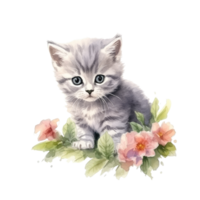 Watercolor painting of cute British Shorthair Kitten isolated transparent background, Digital art, image file format, png