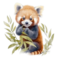 Watercolor painting of cute animal red panda isolated transparent background, Digital art, image file format, png